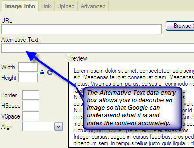 alt tag text entry